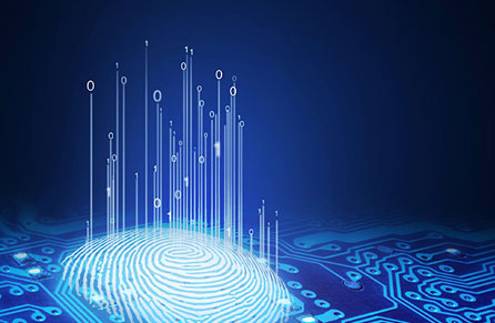 如何将能耗管理系统与企业的资产管理系统相结合？